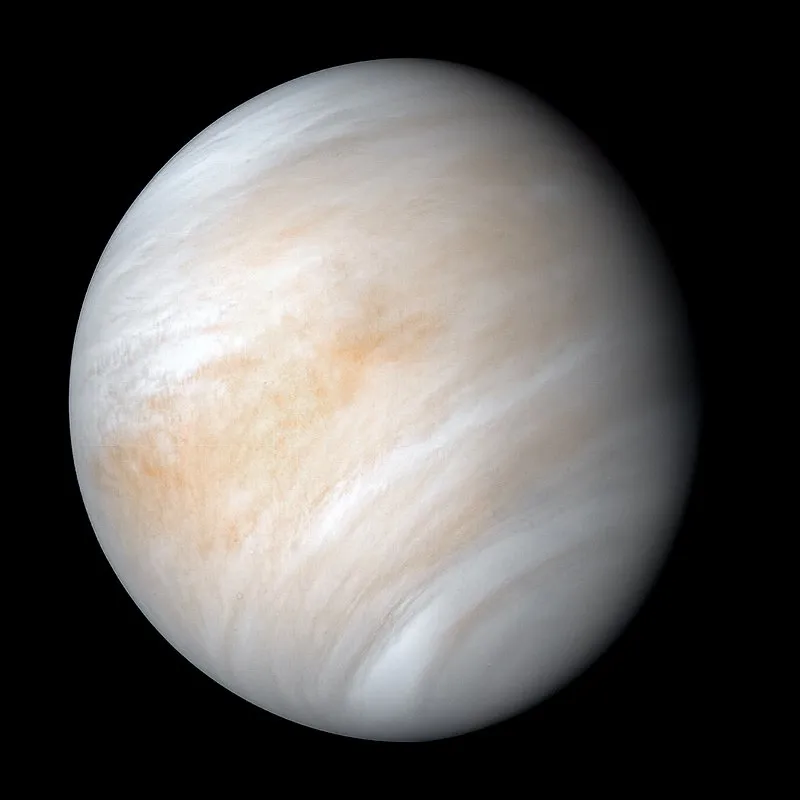 Phosphine and the life on Venus